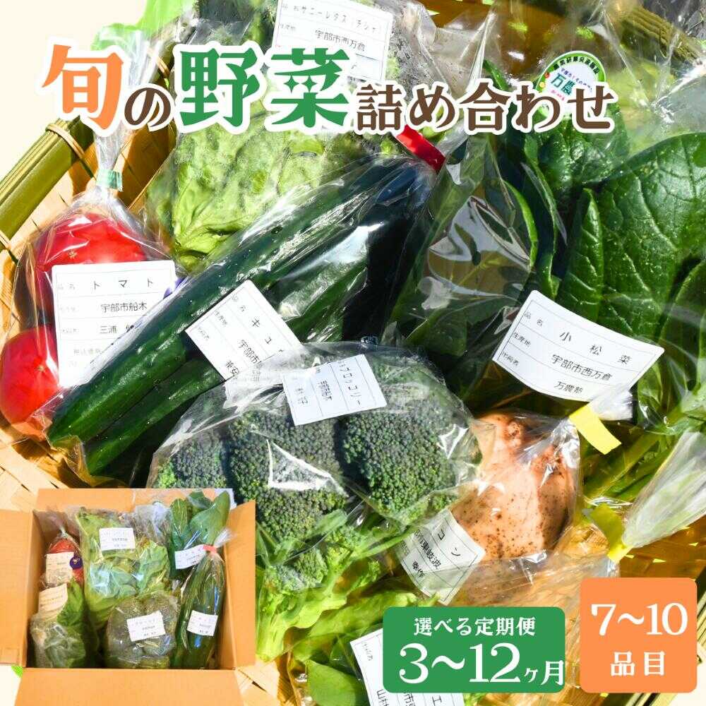 【ふるさと納税】【選べる定期便 3ヶ月〜12ヶ月】新鮮野菜の産直 7～10品目 ＜楠こもれびの郷「楠四季菜市」 | 新鮮野菜 宇部市産 季節野菜 詰合せ 直送 野菜セット 旬の野菜 地元産 新鮮食品 野菜ボックス 定期便 山口県 宇部市