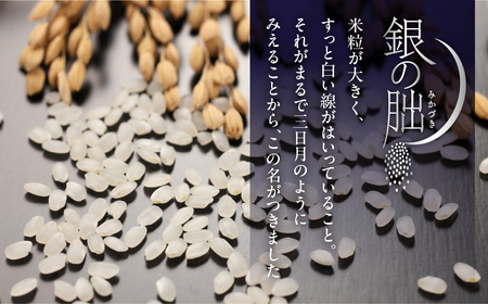 新米予約受付【2025年産米】（2025年10月下旬頃から順次発送）銀の朏 5kg×1袋≪テレビで紹介!!幻の米≫皇室献上米 化学肥料不使用 5キロ いのちの壱 ブランド米 精米 お米 令和7年産 銀