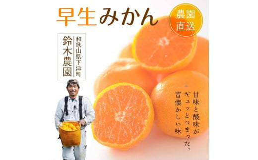 早生みかん（希少な小粒２S～３Sサイズ）5ｋｇ混合11月中旬～12月下旬頃に鈴木みかん農園より農園直送 3Sサイズ 2Sサイズ ２S SS  小玉  小さい※北海道・沖縄・離島への配送不可