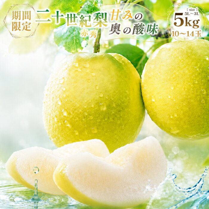 【ふるさと納税】【期間限定】鳥取県産 二十世紀梨 赤秀 5kg 10〜14玉 5L～3Lサイズ 梨 赤秀 20世紀 二十世紀 期間限定 数量限定 フルーツ 果物 なし ナシ 旬 贈答 贈り物 ギフト お取り寄せ 産地直送 鳥取県　DM14