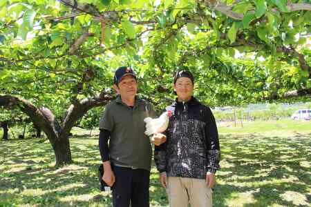 【南信州産】　豊水　秀品約5kg（8玉～16玉）＜9月上旬から順次発送＞