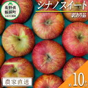 【ふるさと納税】 りんご シナノスイート 訳あり 10kg 松澤農園 沖縄県への配送不可 令和7年度収穫分 長野県 飯綱町 〔 傷 不揃い わけあり 信州 果物 フルーツ リンゴ 林檎 長野 17000円 予約 農家直送 〕発送時期：2025年10月下旬〜2025年11月上旬 {*}