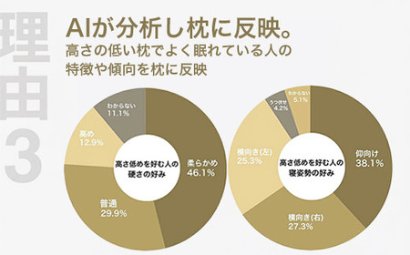 低い枕を好む人向け枕 THE PILLOW Preset 13 Hikume