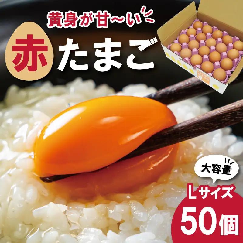新鮮たまご 赤玉 Lサイズ 50個 中村養鶏場 ny3