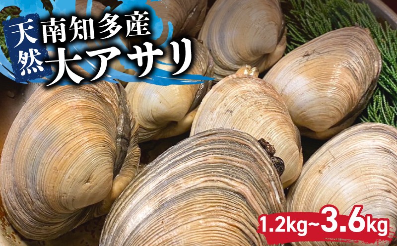 
                  選べる 日間賀島産 大アサリ 1.2~3.6kg アサリ 貝類 魚介類 魚貝類 貝 あさり 愛知 南知多 海鮮 シーフード BBQ アウトドア
                