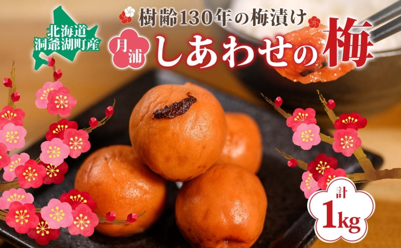 
北海道・樹齢130年の梅漬け「しあわせの梅」1kg（200g×5個）
