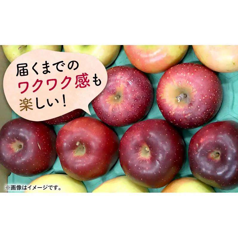 りんご 【3月発送】 家庭用 旬のりんご 品種おまかせ 約 5kg 2品種～4品種　リンゴ 林檎 青森りんご アップル おまかせ ランダム フルーツ 果物 デザート 旬 季節限定 産地直送 青森県産 