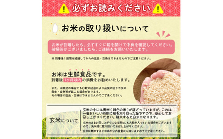 《減農薬栽培》玄米 8kg 「つや姫」(4kg×2袋) 2023年産(令和5年産)【2023年10月頃より発送予定】　012-C-JF007