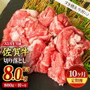 【ふるさと納税】【10ヶ月定期便】佐賀牛 贅沢 切り落とし 800g（合計8kg）(H085187)