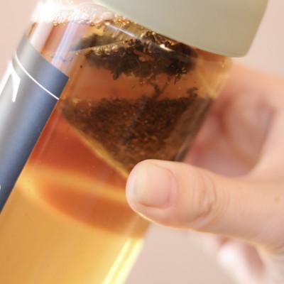 ふるさと納税 沼津市 沼津産　和紅茶 ティーバッグ(3g×10包)×3袋　合計30包 |  | 01