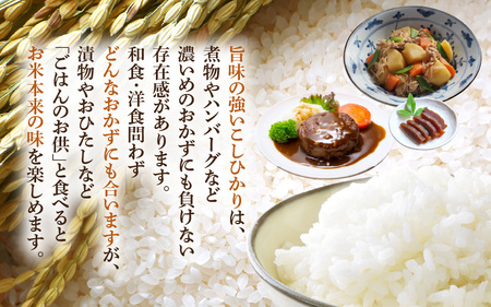 令和6年産 米 3kg 精米 コシヒカリ 福井県産《14日以内に出荷予定》【白米 3キロ こしひかり 少量 お米 人気品種 産地直送 新生活 kome】 [e66-a003]