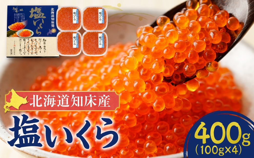 
                  【先行受付】＜北海道知床産＞鮭いくら塩漬け(塩いくら)　 400g  いくら 北海道 鮭 鮭いくら イクラ 北海道産 さけ サケ 塩 塩漬け 塩いくら 400g 100g×4 小分け 海鮮 魚卵 ご飯のお供 海鮮丼 酒の肴 おつまみ 冷凍 送料無料 
                
