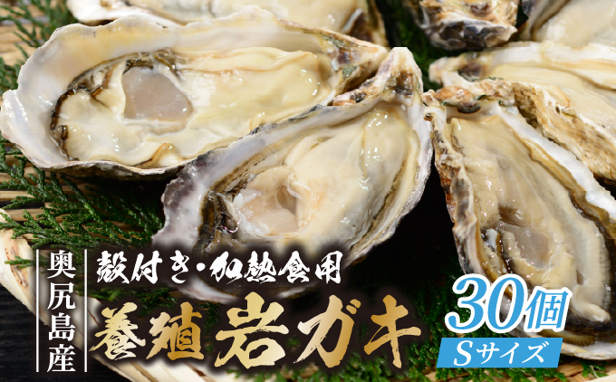 【先行予約 2026年7月20日より発送】奥尻島産養殖岩ガキ【Sサイズ】殻付き 30個入り（加熱食用）～豊かな海が育てた海の宝石～ | 冷蔵 | 北海道 奥尻町 送料無料 Sサイズ 30個