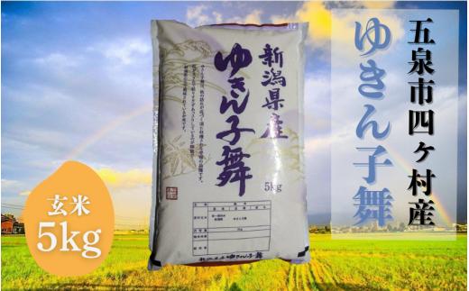 【先行予約】令和8年産米【お米ソムリエのお米】ゆきん子舞 玄米 5kg（5kg×1袋）五泉市四ヶ村産 米 お米 新潟県 五泉市 エバーグリーン農場