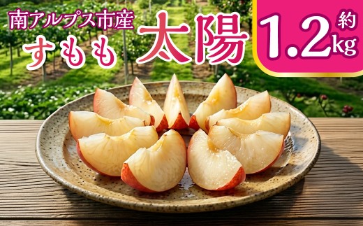 ＜2026年発送先行予約＞すもも太陽 約1.2kg ALPCZ008