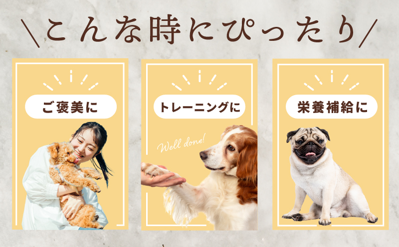 犬用ご褒美おやつセット【ドッグ いぬ 犬 イヌ おやつ ペット 果物 くだものドック 国産 安心 犬のおやつ】 099H4347