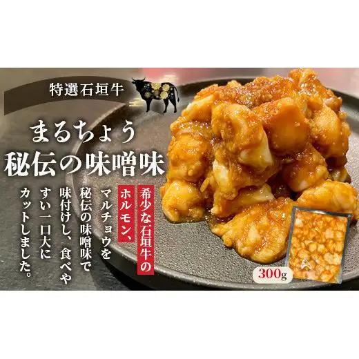 マルチョウ300g×2パック 秘伝の味噌味とプレーンの食べ比べセット　IM-18