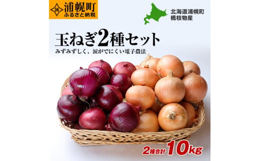 電子技法栽培たまねぎ2種セット 合計約10kg 《10月上旬から順次出荷》橋枝物産　北海道　浦幌町