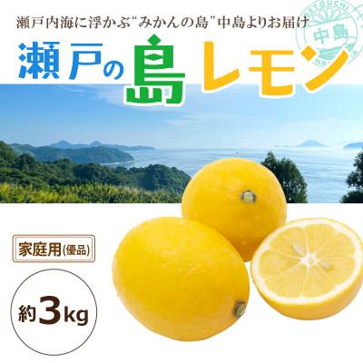 ふるさと納税 松山市 【2026年3月中旬頃から発送予定】瀬戸内海の島レモン(家庭用・優品)3kg