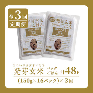 ＜3ヶ月定期便＞発芽玄米パックご飯 計48パック(16パック×3回) 金のいぶき発芽玄米 黒米 発芽玄米 レンジ 有機栽培 パックご飯 パックごはん ご飯パック ごはんパック ご飯 米 頒布会 【有機