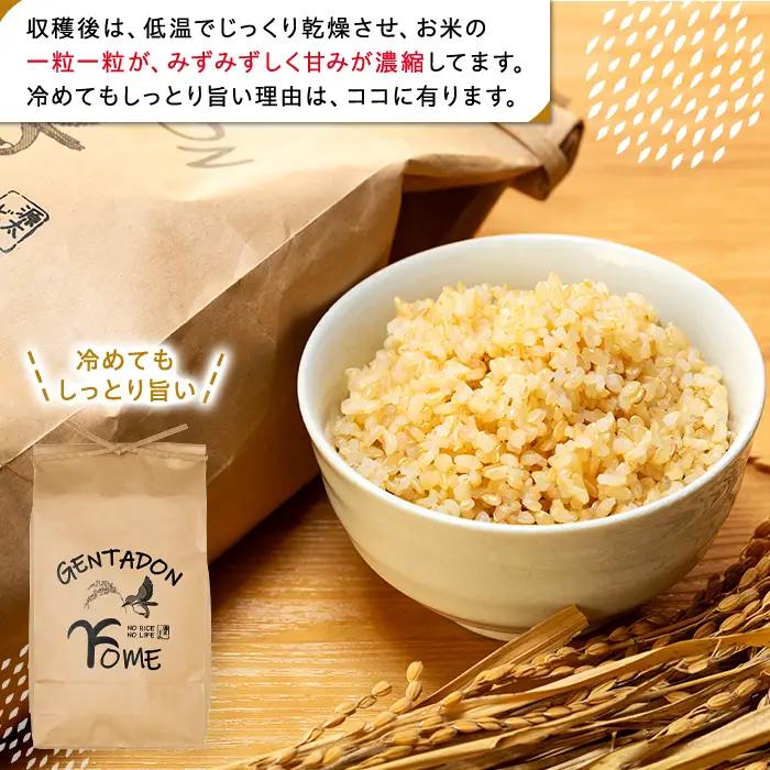AB1-006 特別栽培米　コシヒカリ（玄米）10kg