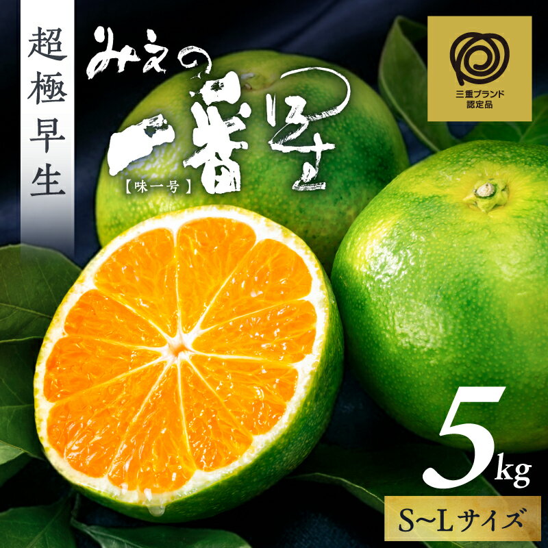 【ふるさと納税】【9月中旬頃発送】JA 三重のみかん みえの一番星 (味一号) 5kg 超極早生 │ 数量限定 フルーツ 果物 柑橘 みかん 超極早生 みえの一番星 三重ブランド 夏 秋 旬