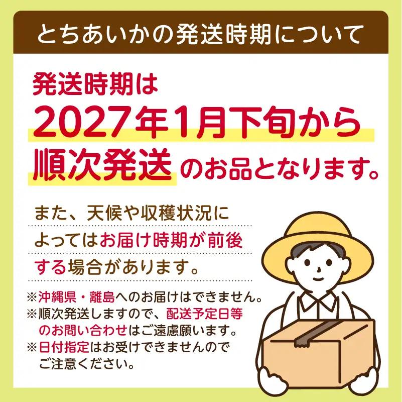 【先行受付】栃木県産　とちあいか約250ｇ×4パック【栃木県共通返礼品】【2027年1月下旬～発送予定】　ns120-001 いちご とちあいか 