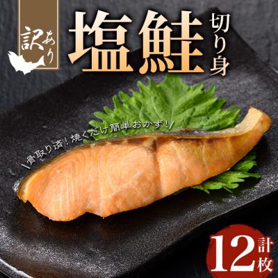 ふるさと納税 曽於市 【訳あり】骨取り塩鮭切身(12枚/約720g)