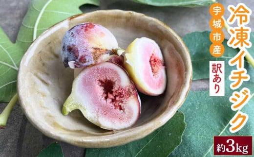 訳あり 冷凍 イチジク 約3kg【合同会社宝Farm】