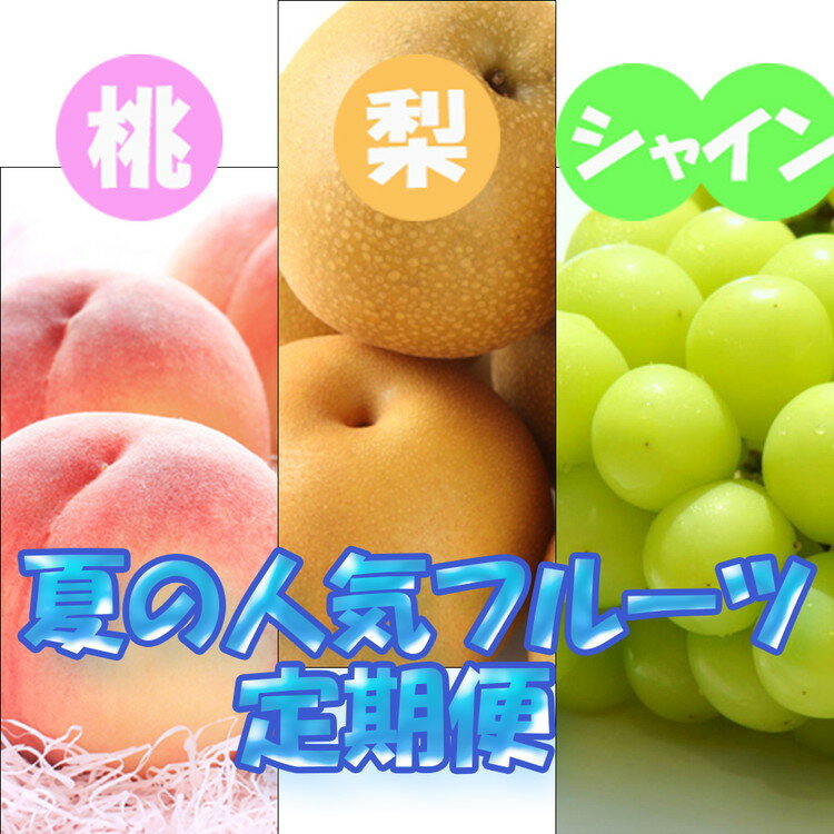 【ふるさと納税】フルーツ 定期便 全3回 【7月・8月・9月発送】 和歌山の夏の人気フルーツをお届け（桃・梨・シャインマスカット）｜ フルーツ ふるーつ 果物 くだもの 桃 葡萄 ぶどう 梨 和歌山県産 旬 詰め合わせ セット 果物定期便 国産 産地直送 和歌山県 美浜町