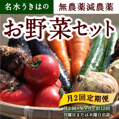 ふるさと納税 うきは市  【月2回定期便】UIC 名水うきはの無農薬減農薬お野菜セット (ひと月2回×半年間=計12回)