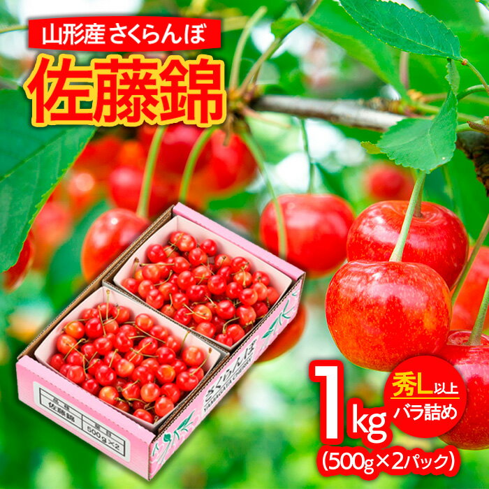 【ふるさと納税】山形市産さくらんぼ 佐藤錦 L以上 1kg(500g×2)バラ詰め 【令和7年産先行予約】FS24-622 くだもの 果物 フルーツ 山形 山形県 山形市 お取り寄せ 2025年産
