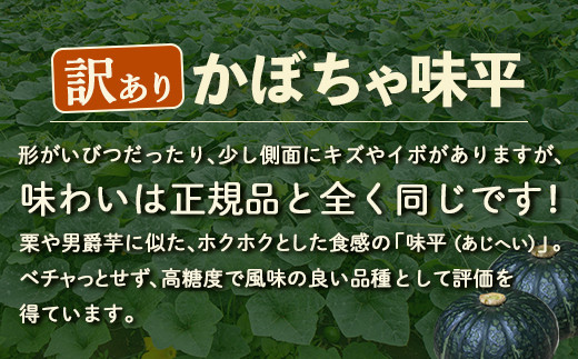 【訳あり】北海道 豊浦産 かぼちゃ 味平 約10kg 5～7玉入り 南瓜 カボチャ 野菜 煮物 揚げ物 スープ サラダ あじへい 国産 北海道 豊浦町産 【2026年9月下旬以降順次発送】