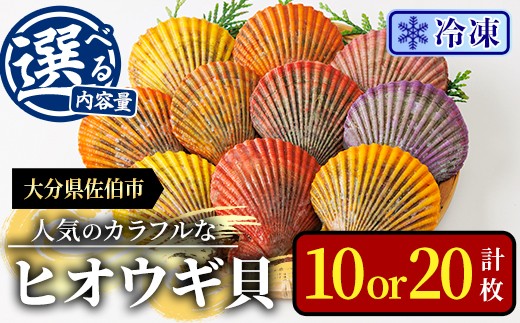 
                  ＜内容量が選べる＞ 冷凍 ヒオウギ貝 (計10枚・計20枚) 魚介 貝 ヒオウギ貝 ひおうぎ貝 酒蒸し 網焼き バター焼き バーベキュー 獲れたて 海の直売所 大分県 佐伯市【AS151・AS152】【海べ】
                