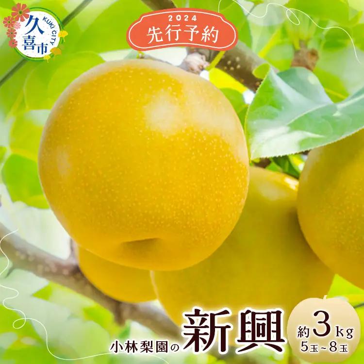 梨 新興 約3kg 6玉～12玉 梨