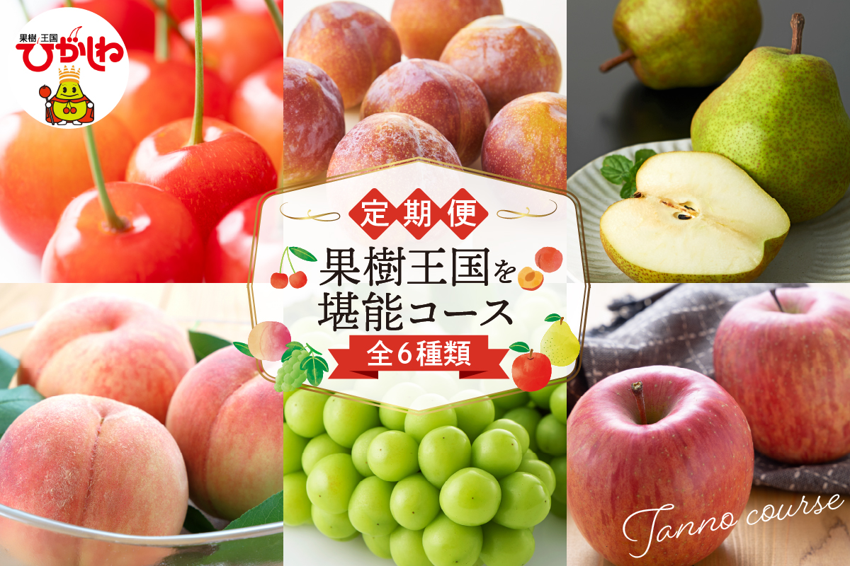 【2026年先行予約 6回 定期便】果樹王国を堪能コース 山形県 東根市 さくらんぼ もも プラム シャインマスカット ラ・フランス りんご hi999-045