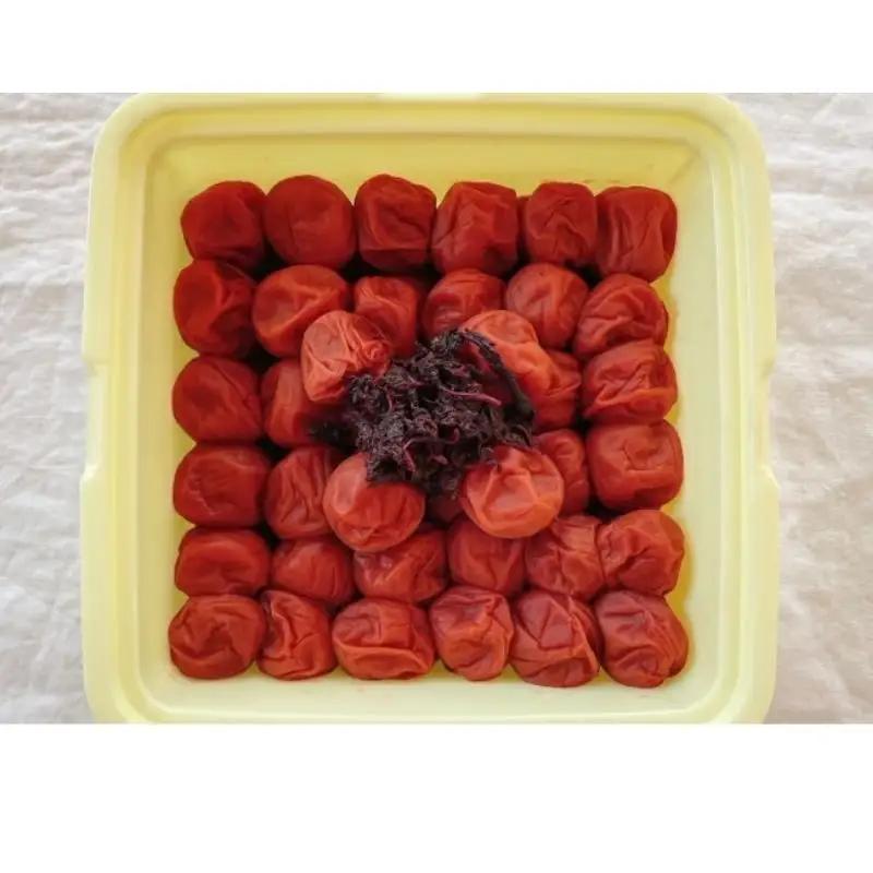  紀州南高梅　しそ梅（塩分13%）　4kg(2kg×2個） / 田辺市 紀州南高梅 南高梅 梅干し 梅干 梅  肉厚 お米 おにぎり 焼酎 梅酒 健康 【ske044-2】
