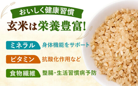 あいちのかおり 玄米 30kg【配達不可：北海道・沖縄・離島】 / 日栄トラクター[AEDM001]