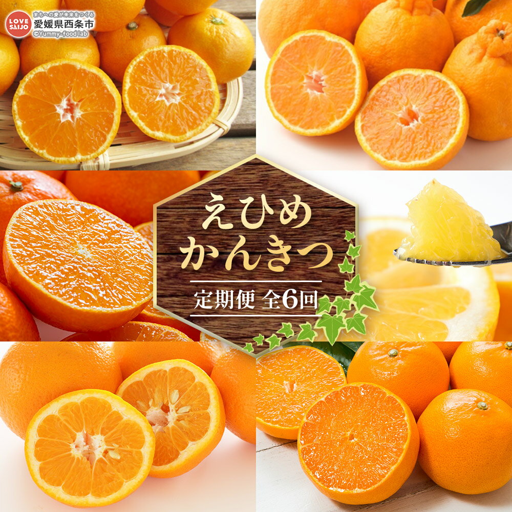 【ふるさと納税】＜えひめかんきつ定期便 全6回＞※2026年11月に第1回目を順次出荷 フルーツ 果物 くだもの 柑橘 ミカン 蜜柑 みかん 日の丸ゴールド 紅まどんな 伊予柑 デコポン せとか 河内晩柑 ジューシー 愛媛県 西条市【常温】