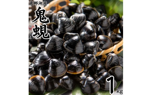 60MZ.東郷湖産鬼蜆〔おにしじみ〕1kg
