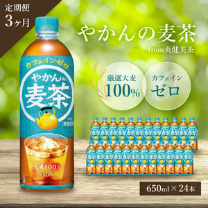 定期便 3ヶ月 やかん の 麦茶 from 爽健美茶 PET 650ml 24本 セット 広島 三原 コカ・コーラボトラーズ