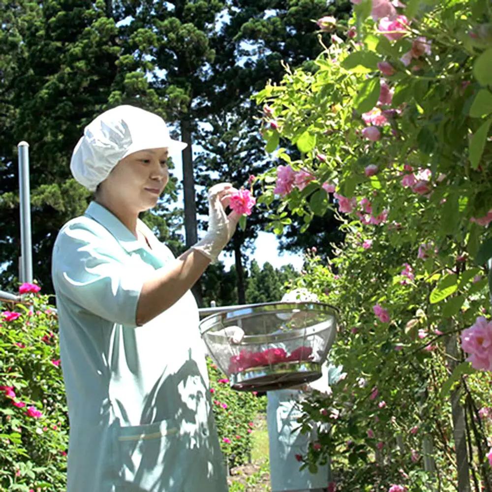 秋田薔薇園産 純粋ローズウォーター 100ml×3本 ローズメイ