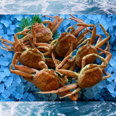 ふるさと納税 若桜町 【蒸し】訳あり足折れ日本海産親ガニ(セコガニ)　6枚