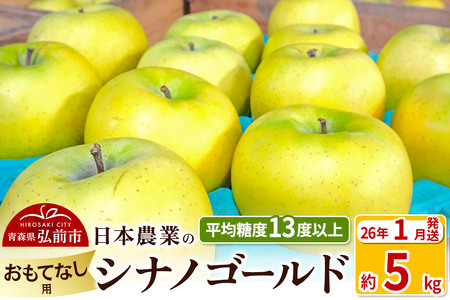 【26年1月発送】りんご 平均糖度13度以上！ シナノゴールド 約5kg おもてなし用 青森 果物 フルーツ 林檎 リンゴ くだもの