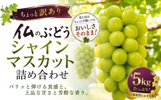 【仏のぶどう】ちょっと訳あり ぶどう詰め合わせ 5kg (8月13日～9月15日の間に順次発送予定) | ぶどう詰め合わせ ぶどう訳あり ブドウ詰め合わせ 葡萄詰め合わせ 豊後高田市