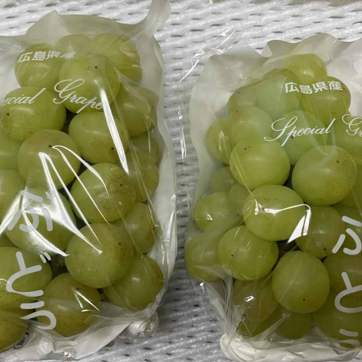 【2026年先行予約】＜訳あり＞ 家庭用シャインマスカット 約2kg｜味はそのまま・ご家庭用におすすめ（常温配送）《9月中旬-11月中旬出荷予定》期間限定 フルーツ 果物 ぶどう ブドウ 神石高原町 