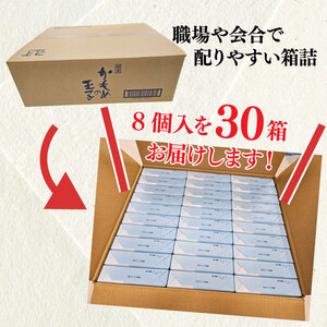 かもめの玉子ミニ 8個入 × 30箱セット 計240個