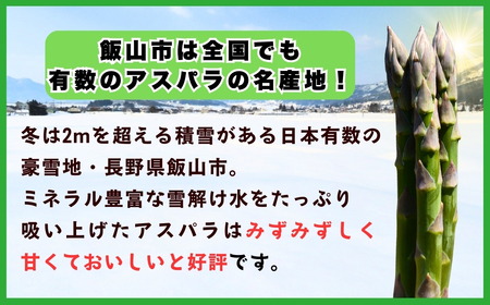 【2026年発送 先行予約】朝採り!露地栽培 アスパラガス L級サイズ 3kg 《 2026年5月発送 》(Bu-003) | 信州 飯山 アスパラ 春アスパラ 露地栽培 朝採れ
