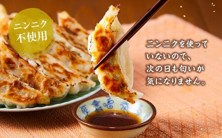 【食感と昆布だしにこだわり】 【3回定期便】お酒によく合う野菜餃子40個(10個×4箱)【 餃子 加工品 冷凍 おつまみ つまみ 定期便 食品 グルメ お取り寄せ お取り寄せグルメ 八雲町 北海道 】
