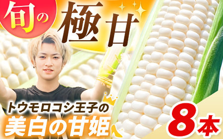 【先行予約】トウモロコシ王子の「美白の甘姫」8本 | とうもろこし トウモロコシ 白トウモロコシ 白とうもろこし 野菜 スイーツ 甘い 栃木県 真岡市 送料無料